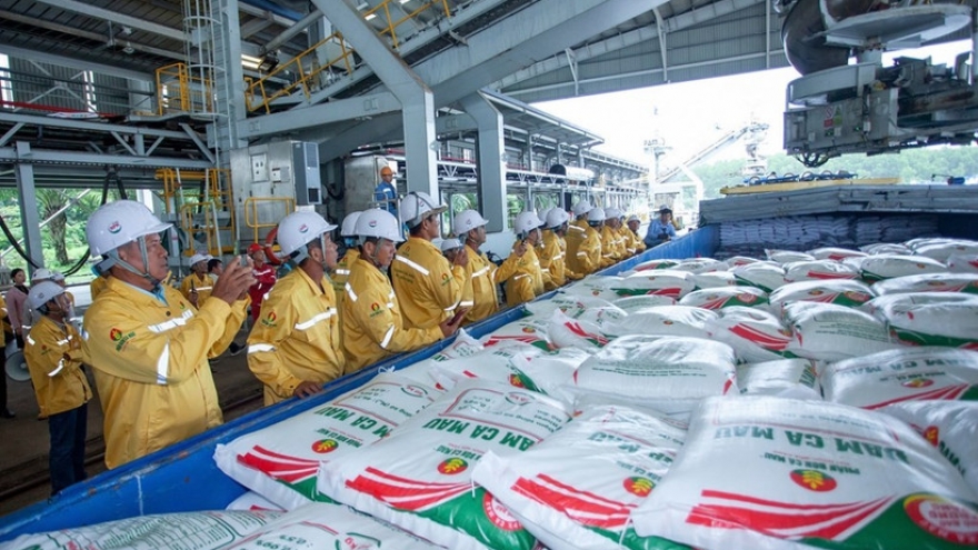 Vietnamese firm successfully exports first 40,000 tonnes of fertiliser to US